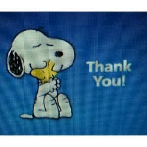 Thank You's Cost Nothing!